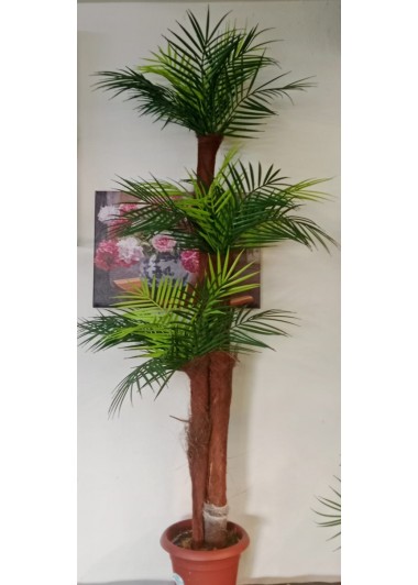 yapay areca palmıyesi